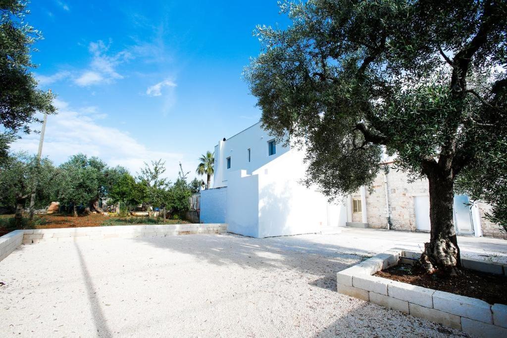 Casa 801 Bed and Breakfast Monopoli Buitenkant foto